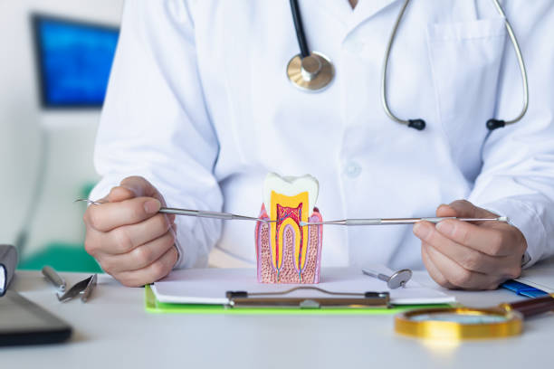 Best Emergency Dental Care for Sports Injuries in New Stanton, PA